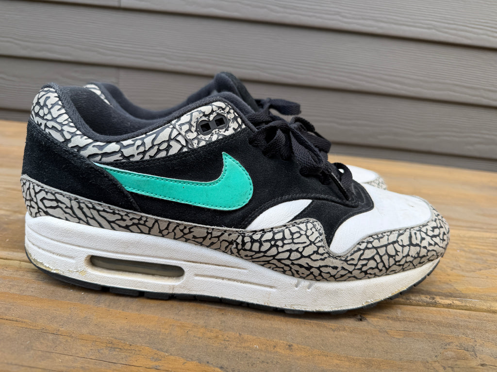 Nike Air Max 1 Atmos (2017) Size 11.5